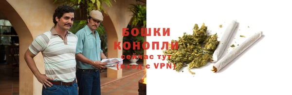 PSILOCYBIN Баксан