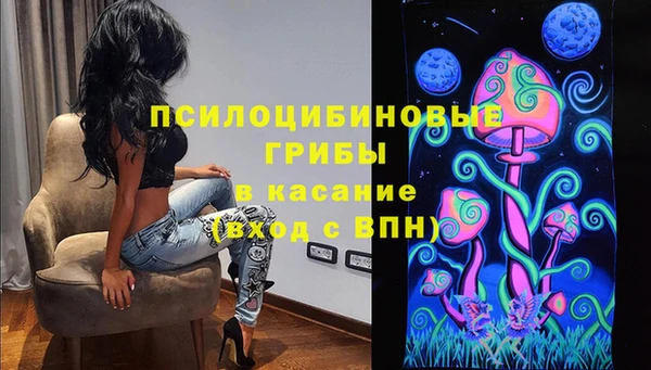 ешки Богородицк