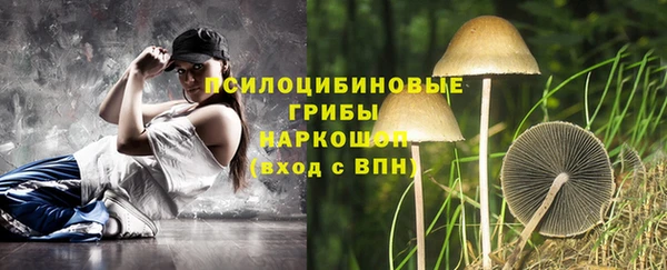 ПСИЛОЦИБИНОВЫЕ ГРИБЫ Богданович