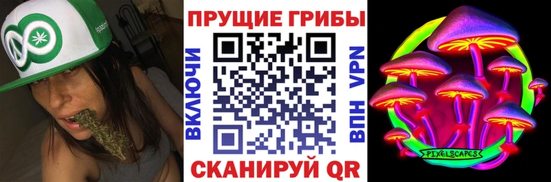 Псилоцибиновые грибы прущие грибы Богородицк